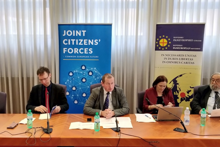 Evroskeptizicem in vloga medijev v evropskem integracijskem procesu, slovensko panevropsko gibanje